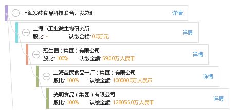 上海發酵食品科技與軟件開發的創新融合