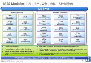 上海LCD/LCM行業MES軟件開發的關鍵趨勢與應用
