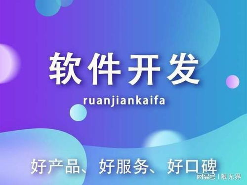 上海軟件外包開發現狀解析 聚焦五家代表性軟件開發企業